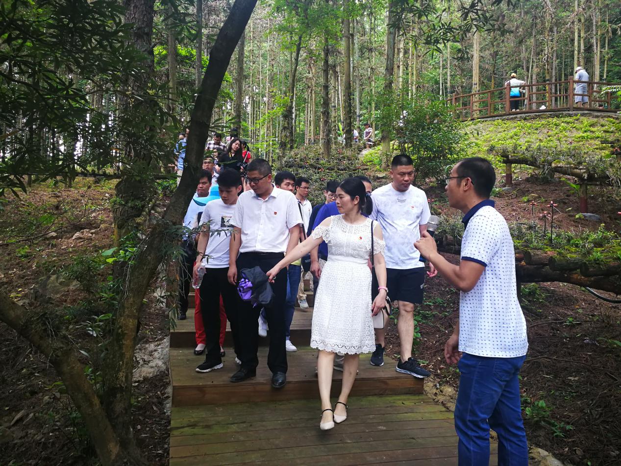 党员们参观林下经济示范基地