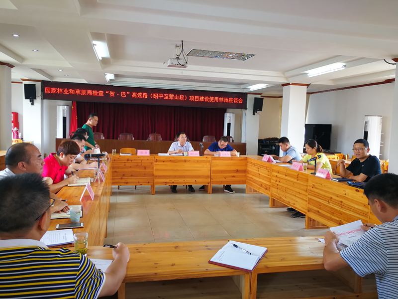 项目建设汇报会现场