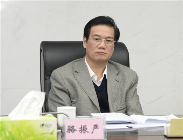 骆振严副厅长出席会议。